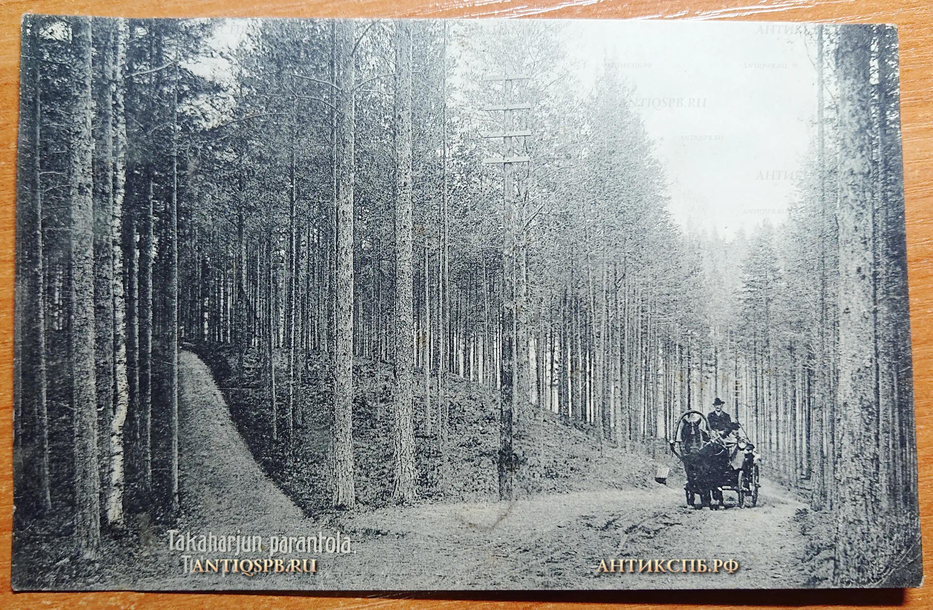 Открытка старинная "Takaharjun parantola. Tulo parantolaan". Финляндия. Finlande. Suomi. Нач. ХХ века. №2558